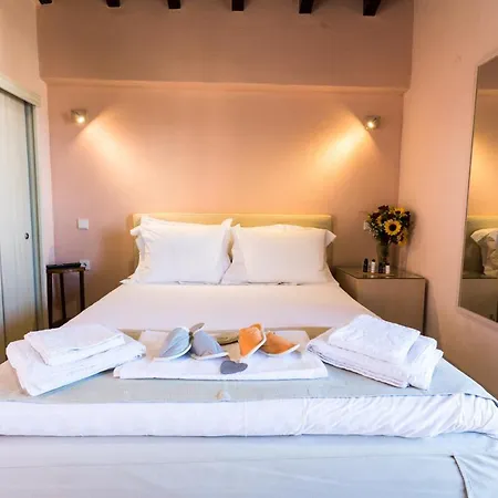 Helianthus 4* Amoliani