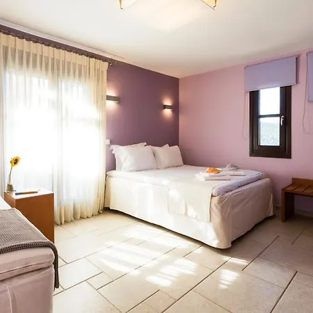 Helianthus 4*