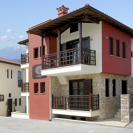 Helianthus 4*