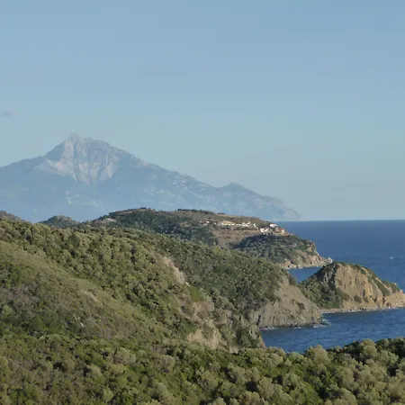 Helianthus Pensionat Amoliani