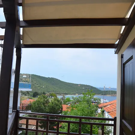 Helianthus 4*