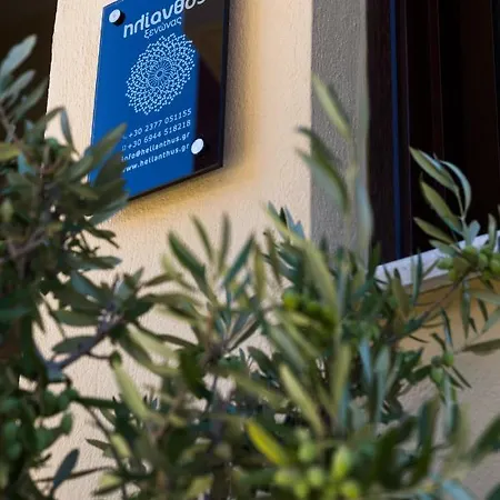 Helianthus Guest house 3*