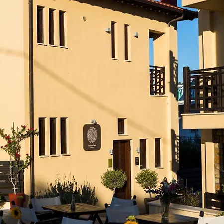 Helianthus 3* Ammouliani