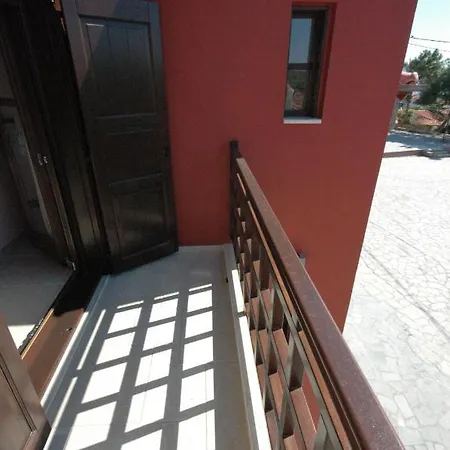 Helianthus 3*