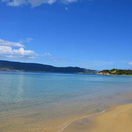 ηλίανθος Αμμουλιανή