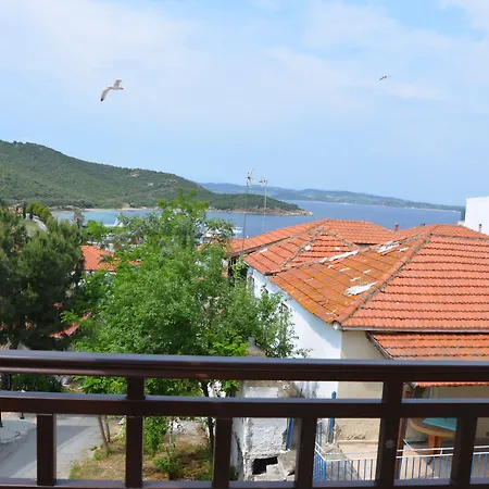 Πανσιόν ηλίανθος