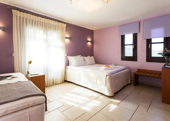 Helianthus 4*