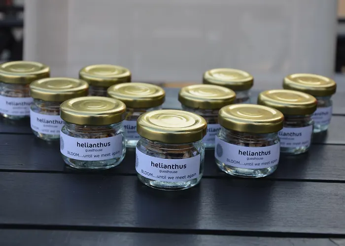 Helianthus