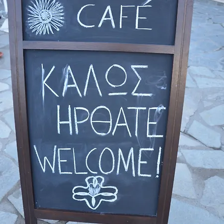 Helianthus أمولياني