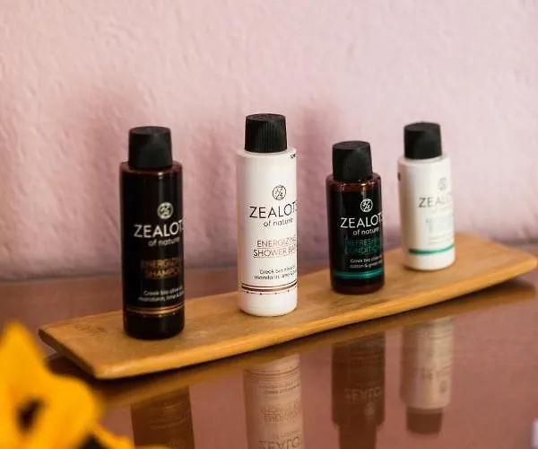 Πανσιόν ηλίανθος