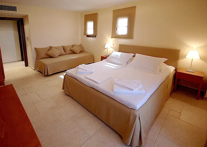 Πανσιόν ηλίανθος Αμμουλιανή