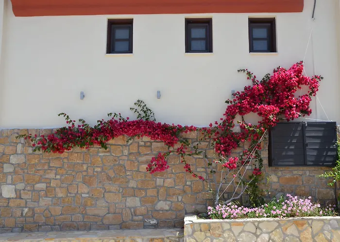 Πανσιόν ηλίανθος