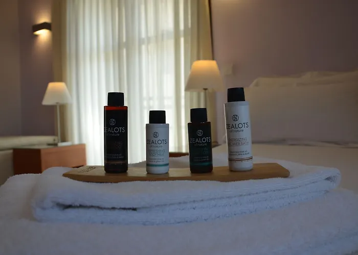 Πανσιόν ηλίανθος Αμμουλιανή